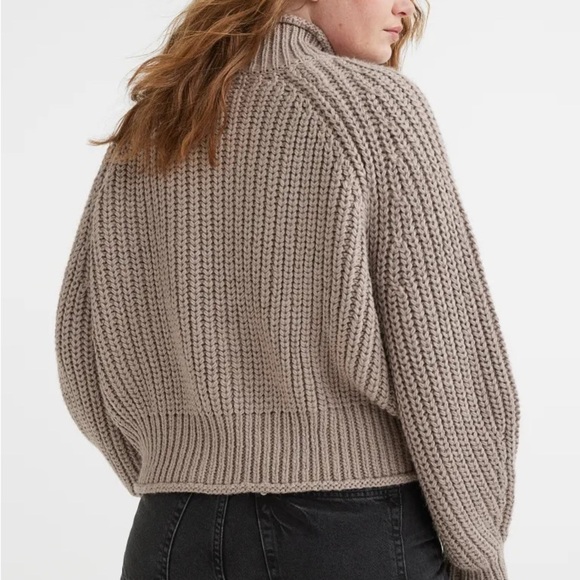 H&M Chunky Knit Turtleneck Boxy Sweater - Picture 5 of 16